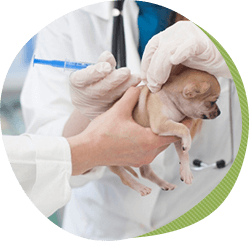 7つの長生きのための心がけ