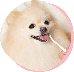 7つの長生きのための心がけ