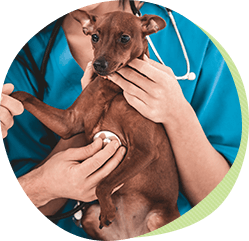 7つの長生きのための心がけ